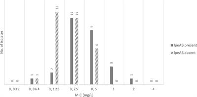 Antibiotic susceptibility pattern of Portuguese environmental Legionella isolates